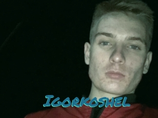 Igorkoshel