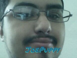 JoePuppy