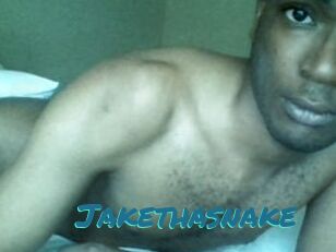 Jake_tha_snake