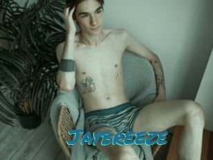 Jaybreeze