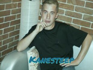 Kanesteep