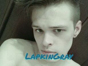 LapkinGray