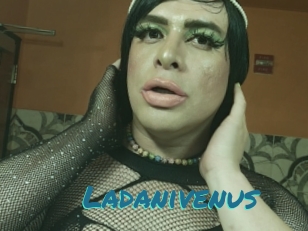 Ladanivenus