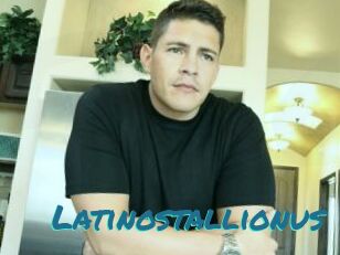Latinostallionus