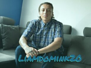 Liamdomink20