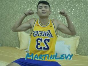 MartinLevy