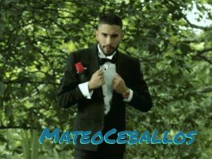 MateoCeballos