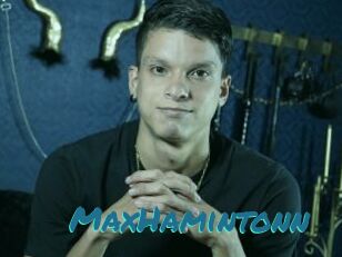 MaxHamintonn
