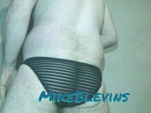 Mike_Blevins