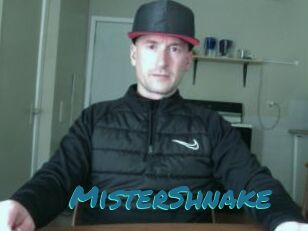 MisterShnake