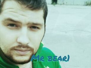 Mr_bear1