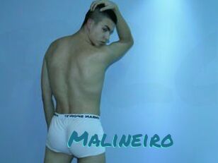 Malineiro