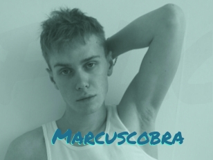marcuscobra Films Gay