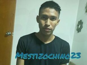 Mestizochino23