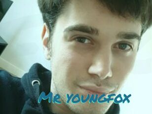 Mr_youngfox