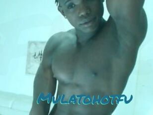 Mulatohotfu