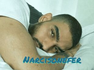 Narcisonefer