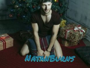NatanBurns
