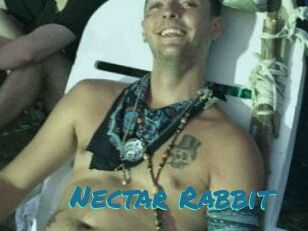 Nectar_Rabbit