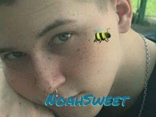 NoahSweet