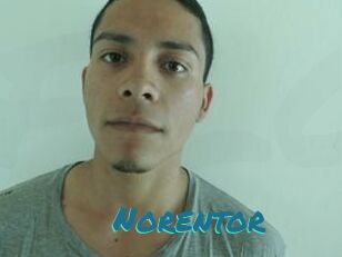 Noren_tor