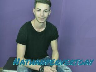 Nathanpervertgay
