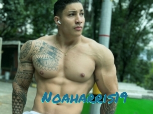 Noaharris19