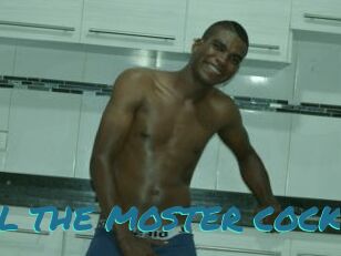 POOL_THE_MOSTER_COCK