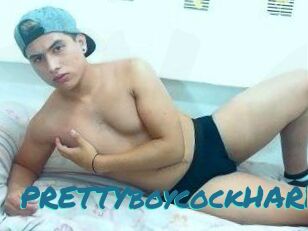 PRETTYboycockHARD
