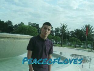 PeaceofLoves
