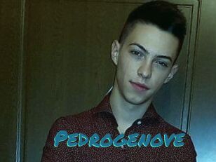 Pedrogenove