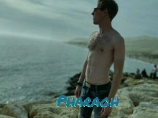 Pharaoh