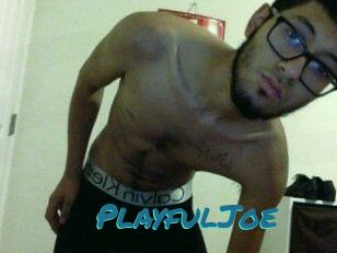 PlayfulJoe