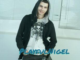 PlayfulNigel