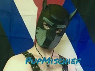 PupMischief