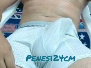 Penesi24cm
