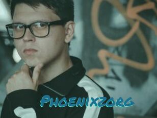Phoenixzorg