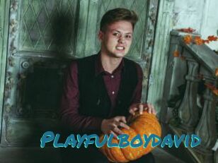 Playfulboydavid