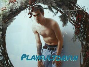 Playfultorvin