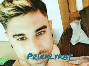 Pricklykat