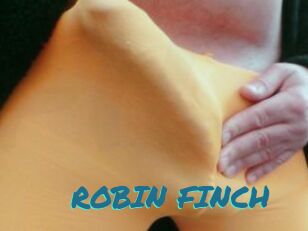 ROBIN_FINCH