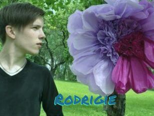 Rodrigie
