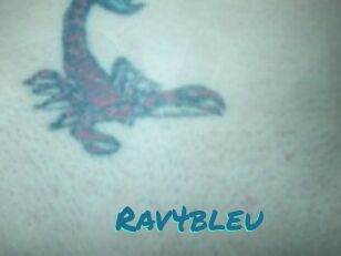 Rav4bleu