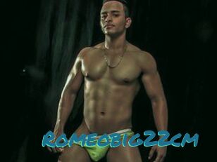 Romeobig22cm
