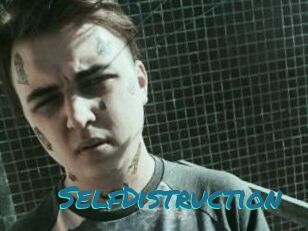 SelfDistruction