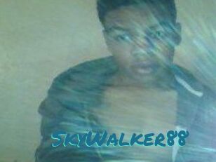 SkyWalker88