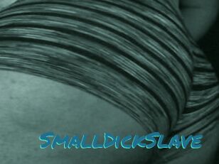 SmallDickSlave