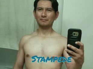 Stampede