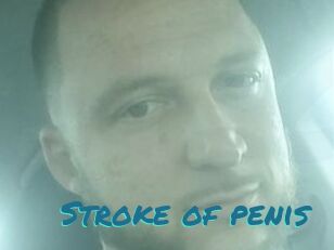 Stroke_of_penis