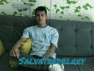 Salvatredelrey